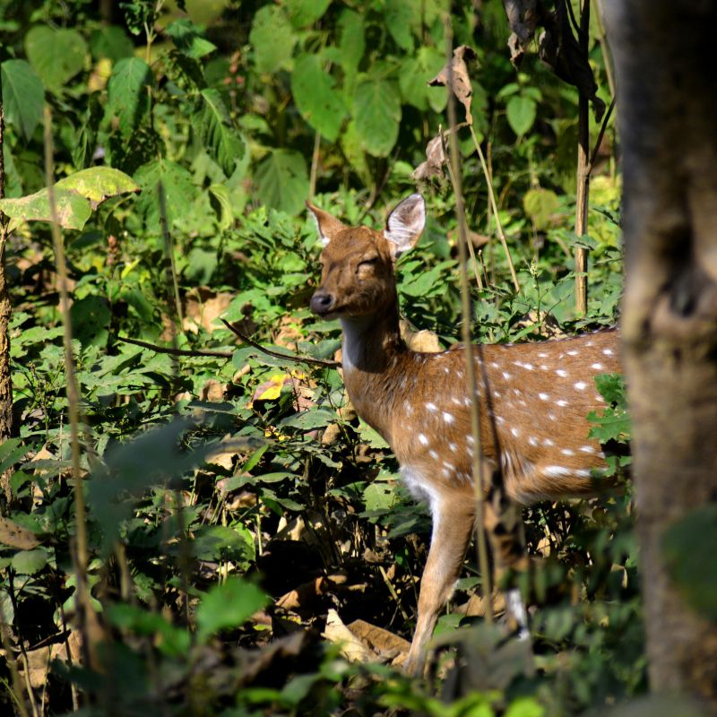 images/insta/Uttarakhand Tour Package 6 Nights 7 Days 5.jpg